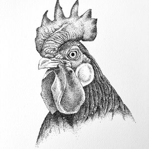 Rooster illustration original drawing.