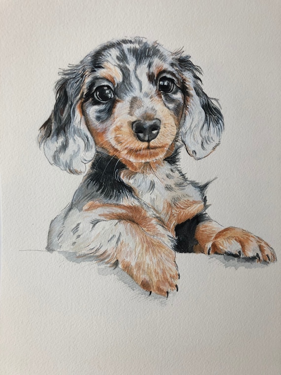 Buy Original Watercolour Painting of a Sausage Dog Online in India