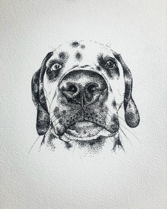 Dalmatian Illustration/ Pen and Ink Drawing Using Dot Art - Etsy Dalmatian Illustration/ Pen and Ink Drawing Using Dot Art - Etsy