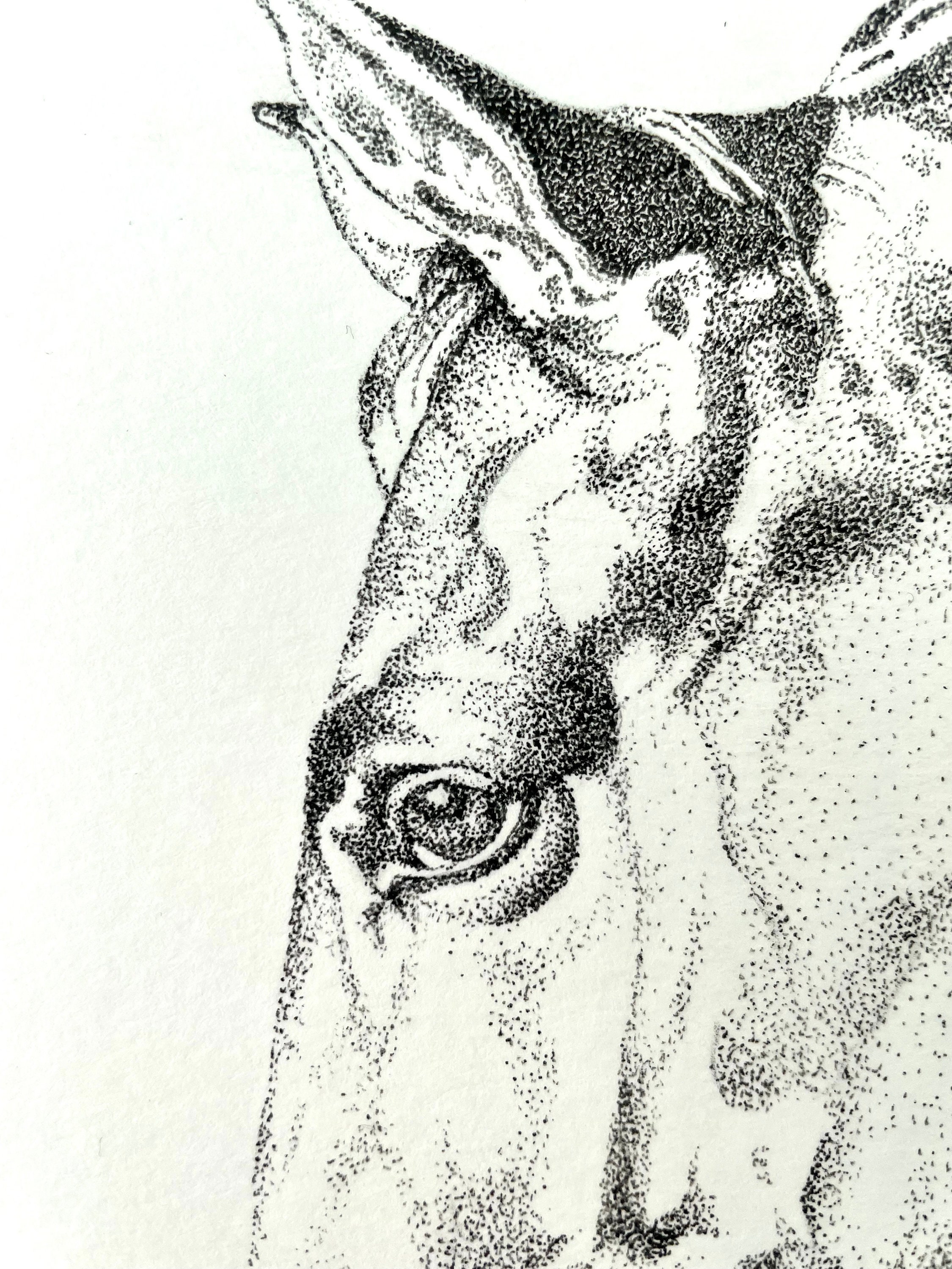Equestrian Pointillism - Etsy