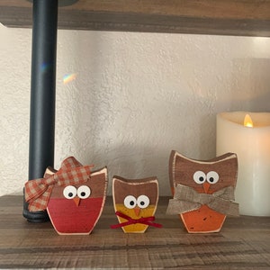 Owl Family