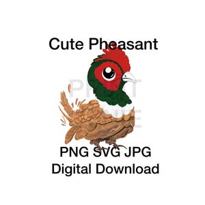 Pheasant cartoon cute clip art PNG Svg JPG Digital download
