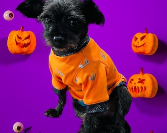 May include: A black dog wearing an orange Halloween costume with a spooky jack-o-lantern design. The dog is surrounded by orange pumpkins with carved faces.