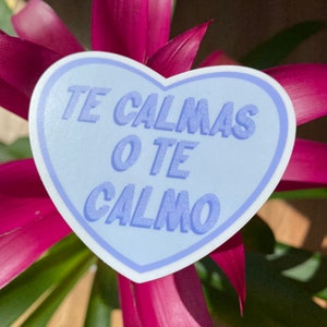 planners Murcia souvenir sticker to decorate journals If life gives you lemons.. or for scrapbooking. Spanish quote sticker