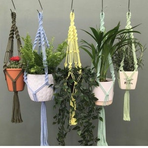 Macrame plant hanger/ small plant hanger/ macrame wall hanging/ hanging planter/ home decor/ indoor planter/ colour macrame/ plant gifts
