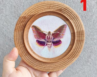 Moth Mini Painting, Butterfly Wall Decor, Insect Miniature Framed Original Oil Art, Cottagecore Decor