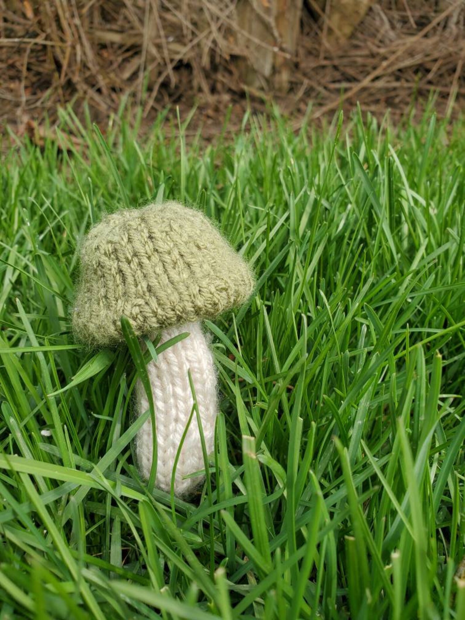 MUSHIES HandKnitted Mushrooms. SIZE MEDIUM Etsy