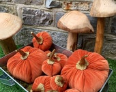 Beautiful Luxurious Handmade Rust Orange Coloured Autumn Fall Halloween Velvet Pumpkins with hand sculptured clay Gold or Silver stalks