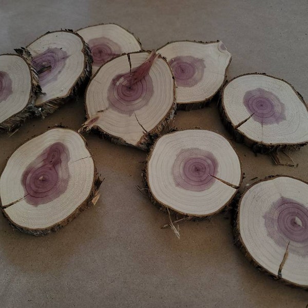 Eastern red cedar tree slices. Price per slice