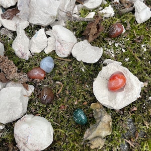 Wundertüte
Hochzeitstüte
Beschäftigung für kinder
Umweltfreundlich
Plastikfrei
Mitgebsel
Geburtstagstüte
Geschenktüte
Zaubernuss
Überraschungsnuss
Nachhaltige geschenke