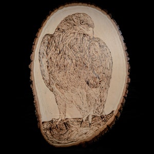 Pyrography Wood burning Eagle Head Bird Pattern Printable Stencil Instant  Download Pyro…