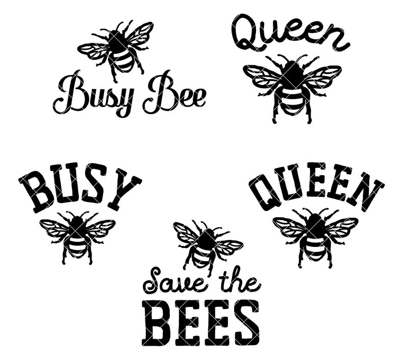 Download Bee Honey Hive Honeycomb and Phrases SVG PNG JPG Cut File ...
