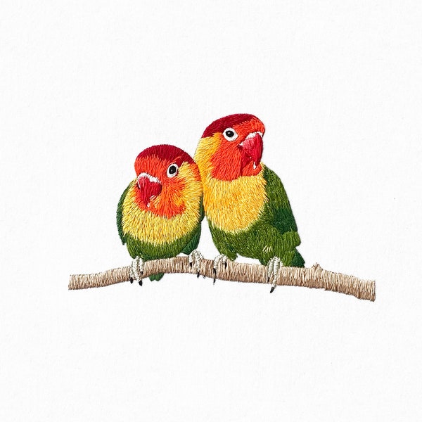 Lovebirds Embroidery Kit |  Complete Birds Embroidery Kit | Parrots Embroidery | Agapornis | Anniversary Embroidery Kit | Parrots Embroidery