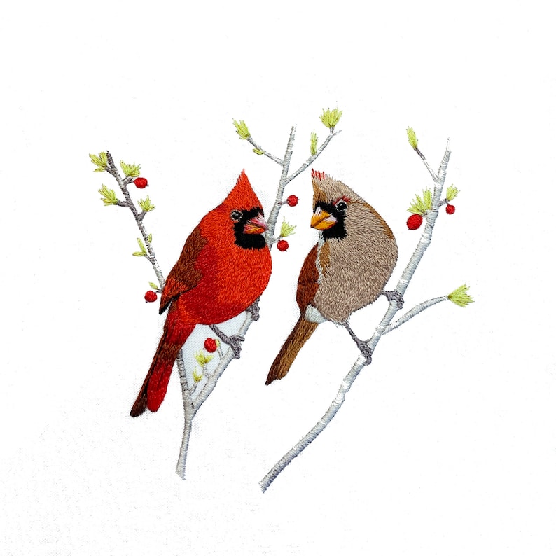 Cardinals Embroidery Kit Wild Bird Embroidery Kit Cardinal Etsy