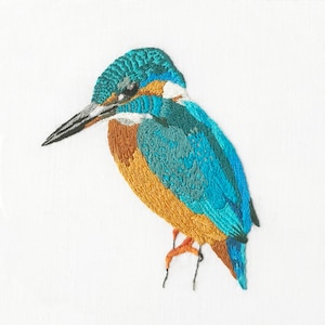 Può includere: Opera di ricamo raffigurante un martin pescatore blu e arancione con un lungo becco. L'uccello è posato su un ramo e ha le ali spiegate.