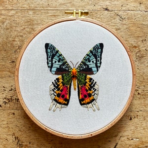 Madagascan Moth Embroidery Kit | Butterfly Needle Craft  | DIY Hoop Art Kit | Summer Sewing Project | Bridgerton inspired embroidery