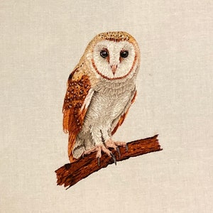 May include: A white and brown barn owl with black eyes perched on a brown branch. The owl is facing the camera with its wings folded.