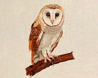 Barn Owl Embroidery Pattern: Detailed Instructions (PDF Download)