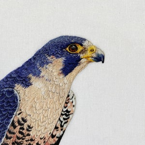 May include: Close-up of a blue and brown embroidered falcon with a yellow beak and brown eye.