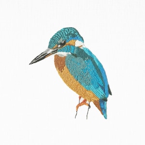 Kingfisher Embroidery Kit: Wildlife Bird Needlecraft Project