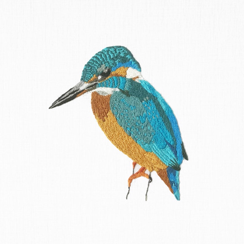 Kingfisher Complete Embroidery Kit Wildlife Needlecraft Kit Etsy