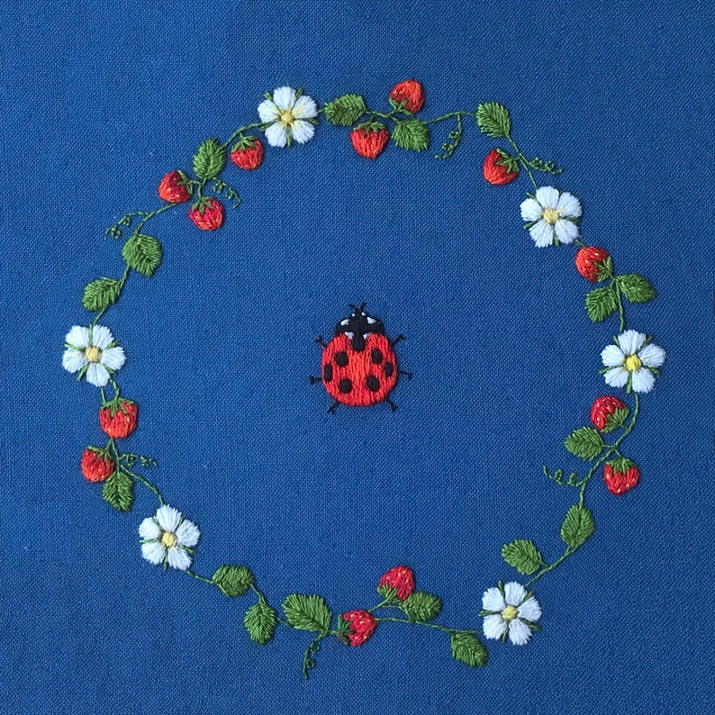 Ladybird and Strawberries Embroidery Kit Flowers Embroidery Etsy