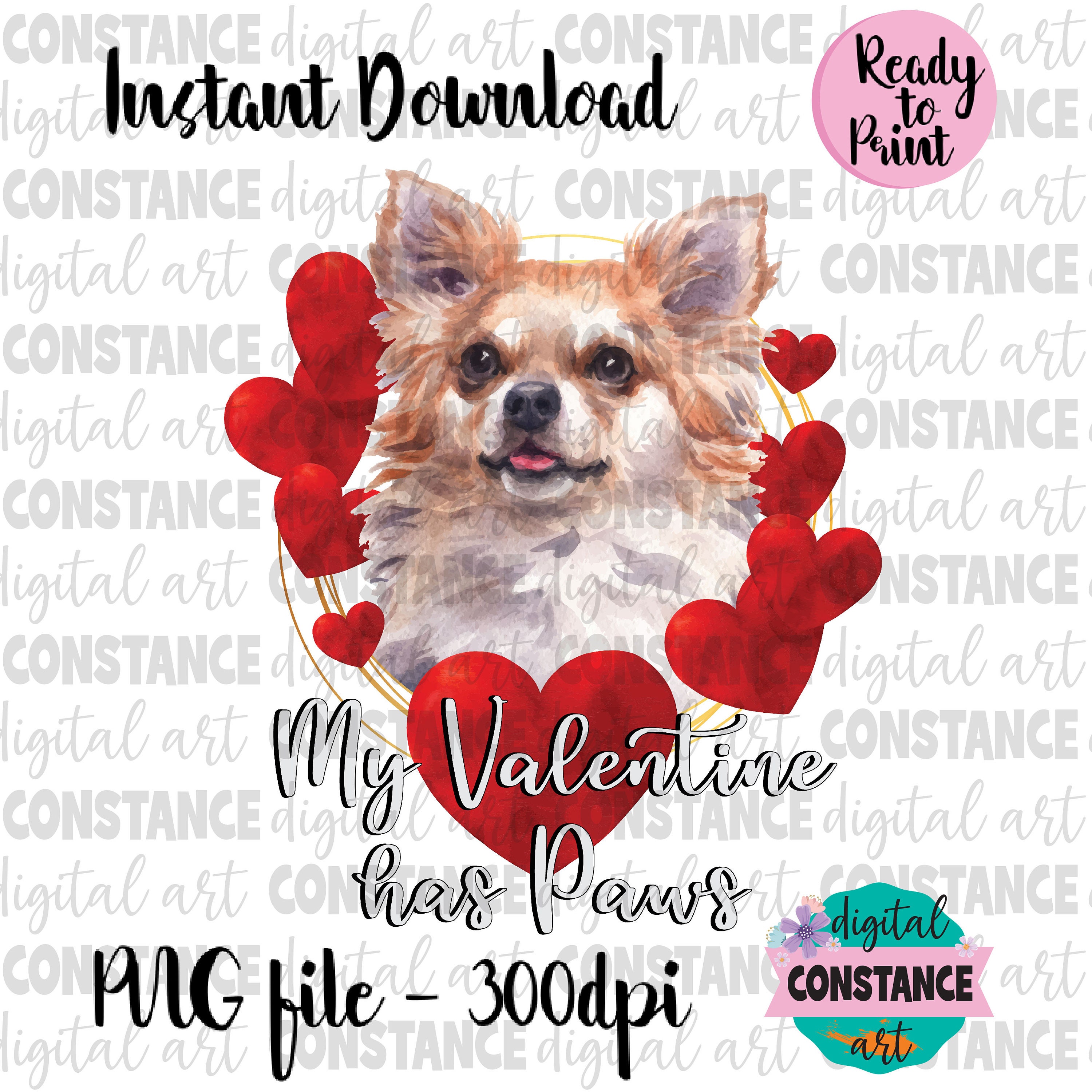 Valentine Dog Sublimation Design Peeking Chihuahua Png design My Valentine has Paws Png Valentine Dog png Valentines Day Chihuahua PNG