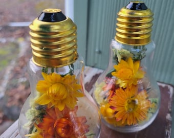 Dried Floral Lightbulb Terrarium