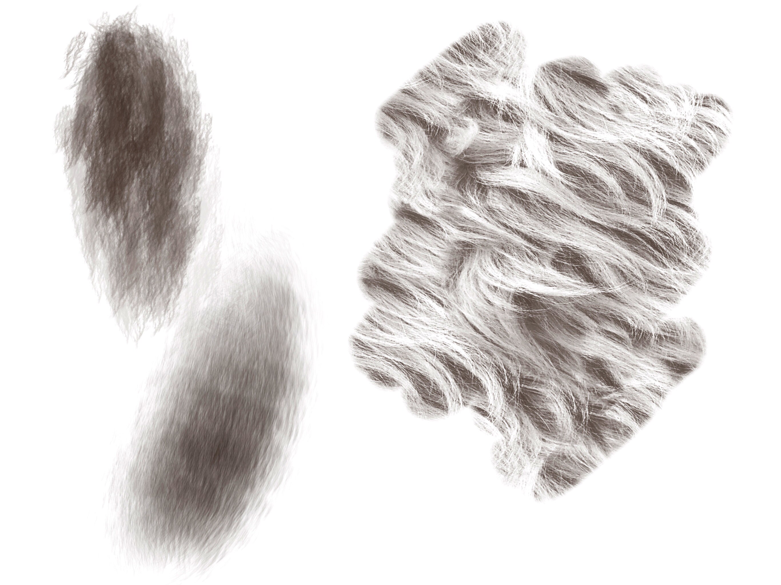 Procreate Fur Brushes Realistic Animal Hair Brush Set Etsy