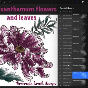 Procreate Botanical Stamp Brushes, 13 Hand Drawn Chrysanthemum Stamps, Flower and Plants Procreate, Commercial USE, TATTOO