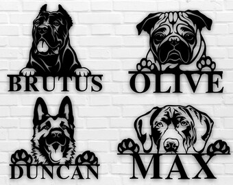 akita husky mix puppies for sale