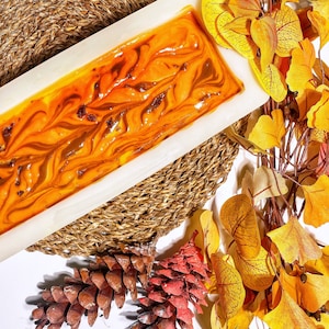 Pumpkin Soap/Fall Soap/ Brown Sugar Soap/ Natural Oils/ Cold process Handmade Soap/ IT&#39;S PUMPKIN TIME