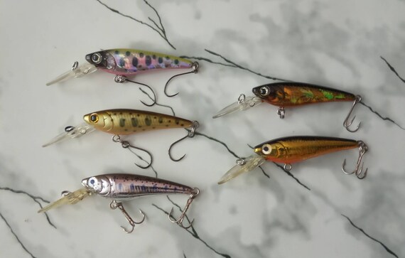 Daiwa Silver Creek Shad Sp. Precio señuelo. - Etsy España