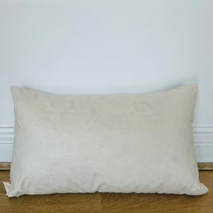 20x35 new arrivals pillow insert