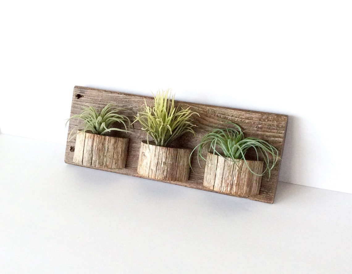Air Plant Wall Display Air Plant Wall Holder Farmhouse Wall Etsy