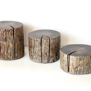 Peut inclure: Trois souches de bois rustiques de tailles diff&eacute;rentes, dispos&eacute;es en rang&eacute;e du plus grand au plus petit. Les souches sont en bois naturel avec une texture rugueuse et vieillie et une couleur brune naturelle.