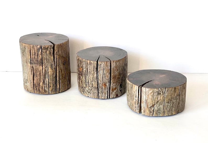 Peut inclure: Trois souches de bois rustiques de tailles diff&eacute;rentes, dispos&eacute;es en rang&eacute;e du plus grand au plus petit. Les souches sont en bois naturel avec une texture rugueuse et vieillie et une couleur brune naturelle.