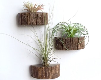 Rustic Wood Air Plant Holder Magnet Set,  Farmhouse Decor