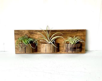Reclaimed Wood Air Plant Holder, Rustic Farmhouse Wall Display
