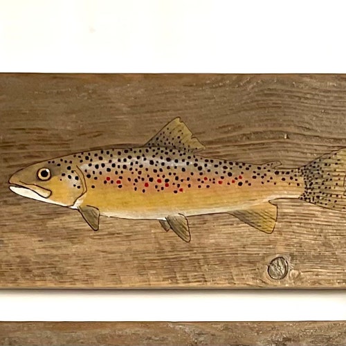 Trout wall decor, Rustic wood trout art, Hand painted trout set, Fly fishing wall art, Farmhouse wall popular decor, Set of three