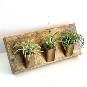 Rustic Wood Air Plant Display, Air Plant Holder, Handmade