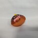 Figurine Littlest Pet Shop (Hasbro) Hibou Numéro 354 - Occasion, Animal Insecte