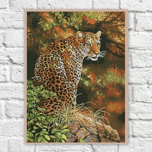 Könnte beinhalten: Eine Nahaufnahme eines Leoparden, der auf einem Felsen in einer Waldlandschaft sitzt. Der Leopard blickt nach rechts aus dem Bild, mit leicht gedrehtem Kopf. Das Fell des Leoparden ist eine Mischung aus Braun, Schwarz und Gelb, mit Flecken über den ganzen Körper. Der Waldboden ist eine Mischung aus Grün und Braun, mit sichtbaren Blättern und Ästen.