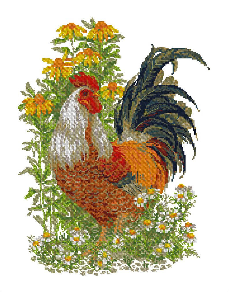 Rooster Cross Stitch Pattern Chickens Cross Stitch Counted PDF | Etsy