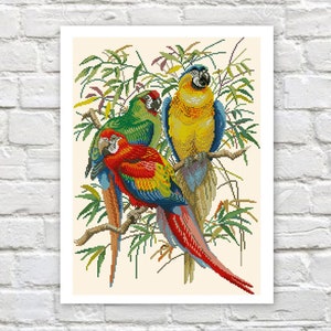 Parrots Cross Stitch Pattern Exotic Birds Cross Stitch Counted PDF X-stitch Chart Needlepoint Embroidery Instant Download