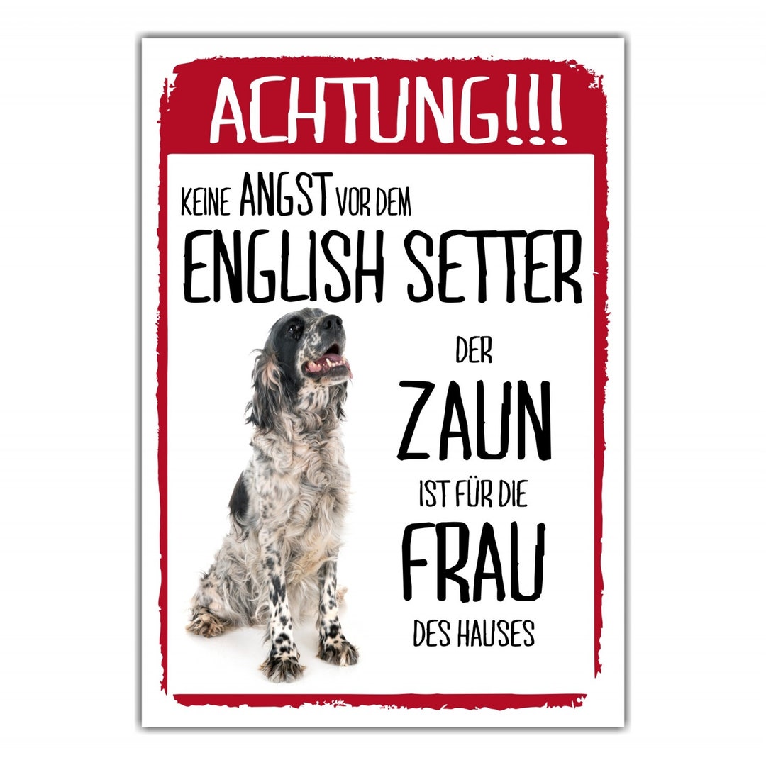 SETTER Hundeschild Aus Metall – Aluminium-Schild "Vorsicht Vor Dem Hund", 30 X 20 Cm, 3 Mm Dick, Wetterfest