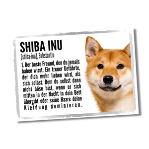 Nostalgieschild Hund Shiba Inu 