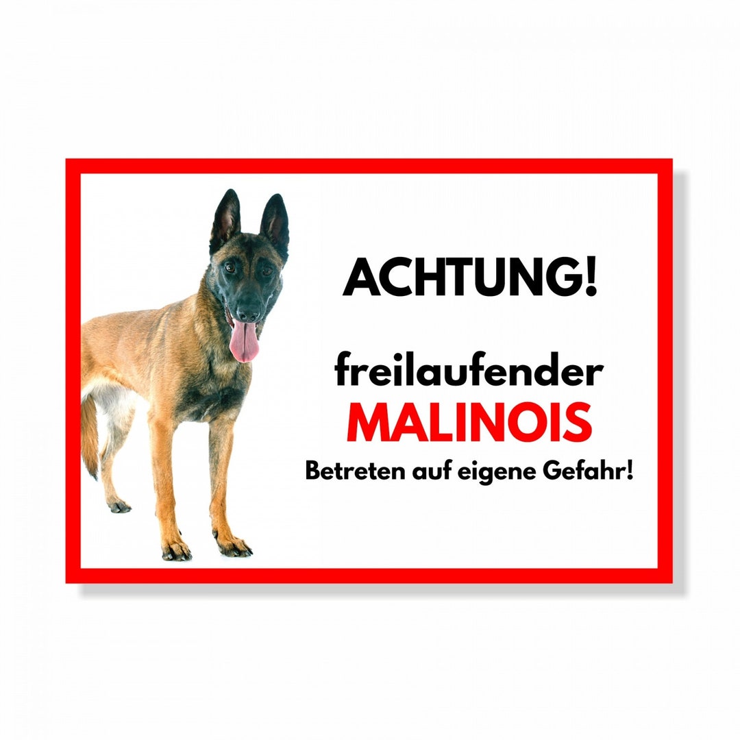 Warnschild 'Schapendoes' – Alu-Verbundplatte 20x14 Cm, Wetterfest, Für Tür Oder Zaun