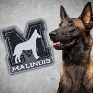 Könnte beinhalten: Ein grauer und schwarzer gestickter Aufnäher mit einer weißen Silhouette eines Belgischen Schäferhundes im Buchstaben "M" und dem Text "MALINOIS" darunter.