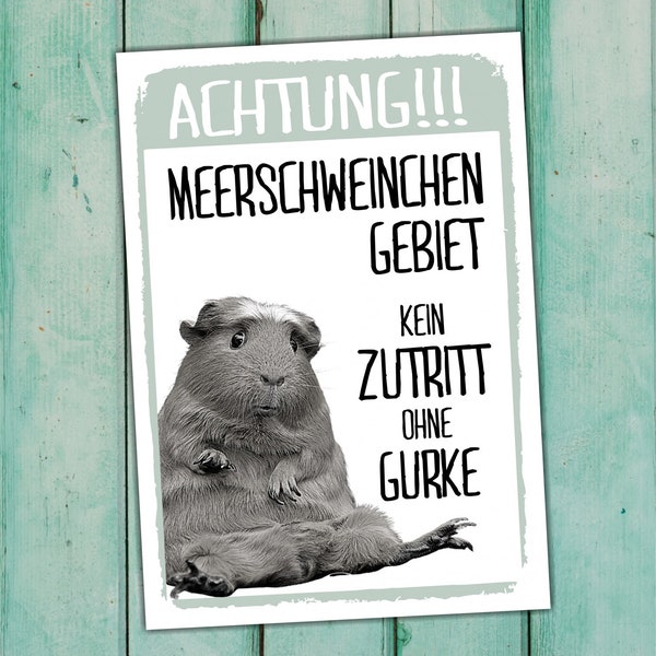 Meerschweinchen Kein Zutritt Gurke Schild lustig Spruch Türschild Warnschild Fun Metallschild Meerschwein Nager